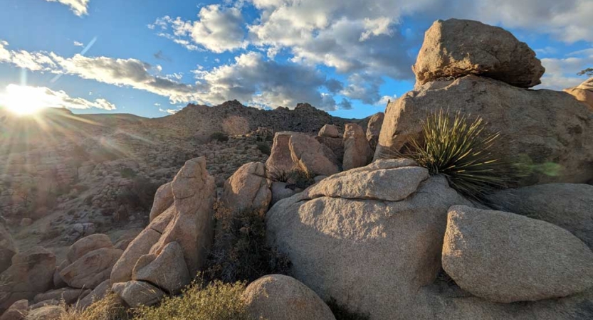 large boulders dot the landscape in joshua tree national park